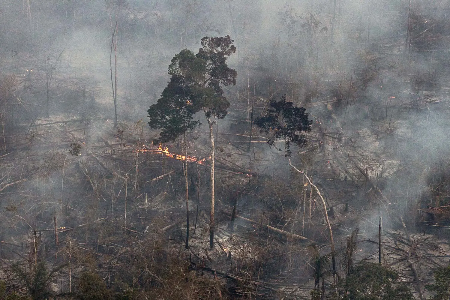 brennender Regenwald, Amazonas, Brände